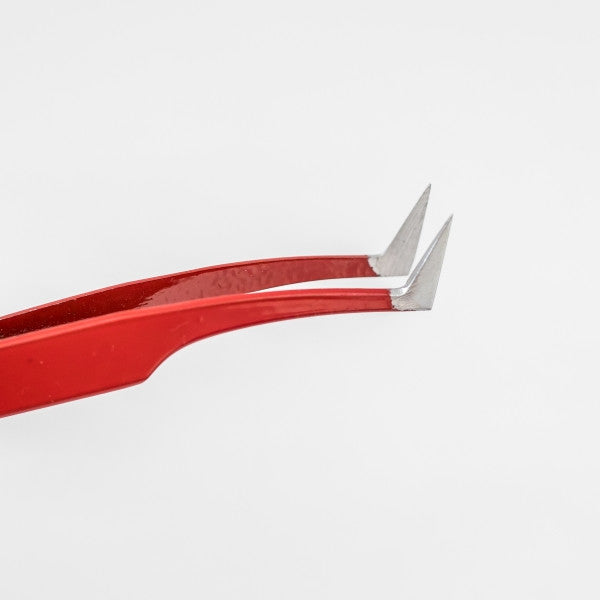 GUNOLD TWEEZER, Pinzette